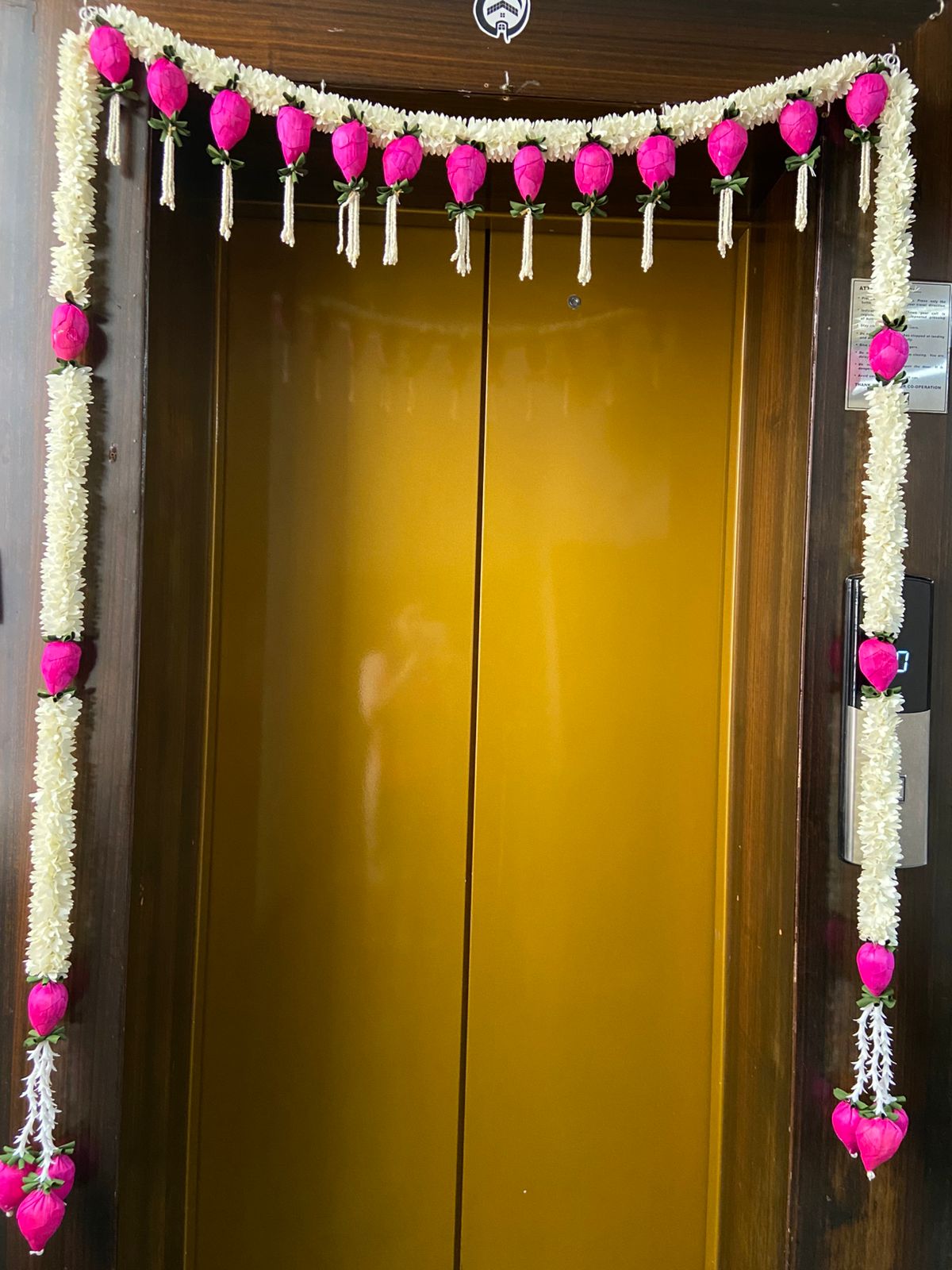 LOTUS DOOR SET