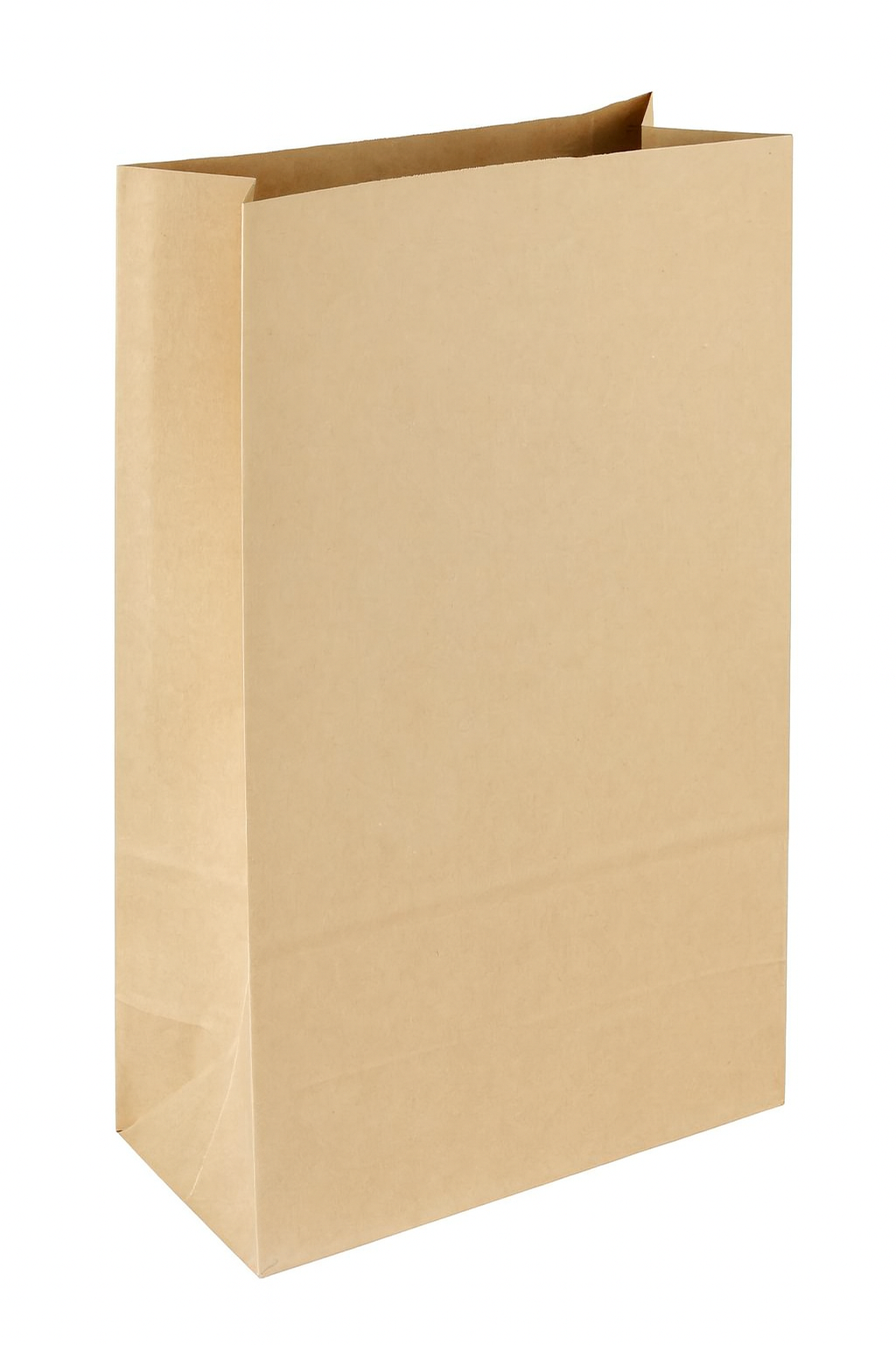 Brown Paper Bag (SOS BAG)