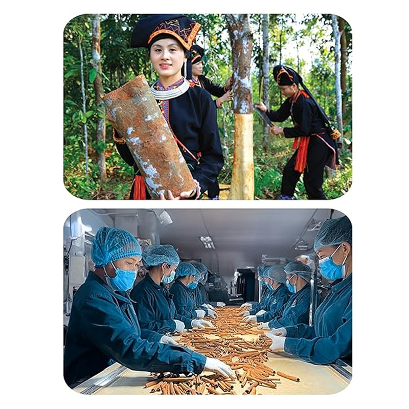 Cinnamon Tea (135bags)