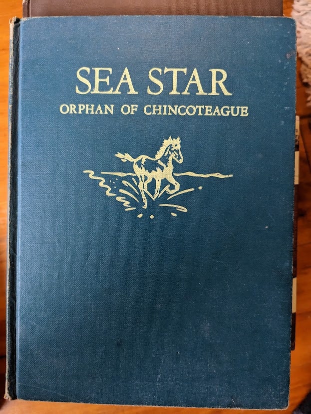Sea Star Orphan of Chincoteague