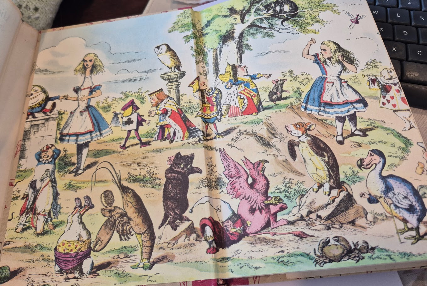 Alice in Wonderland & Through The Looking Glass Illustrated Junior Library