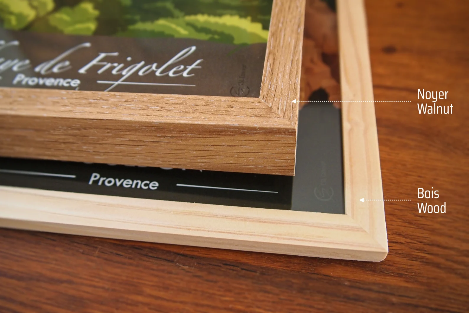 Affiche Pont du Gard