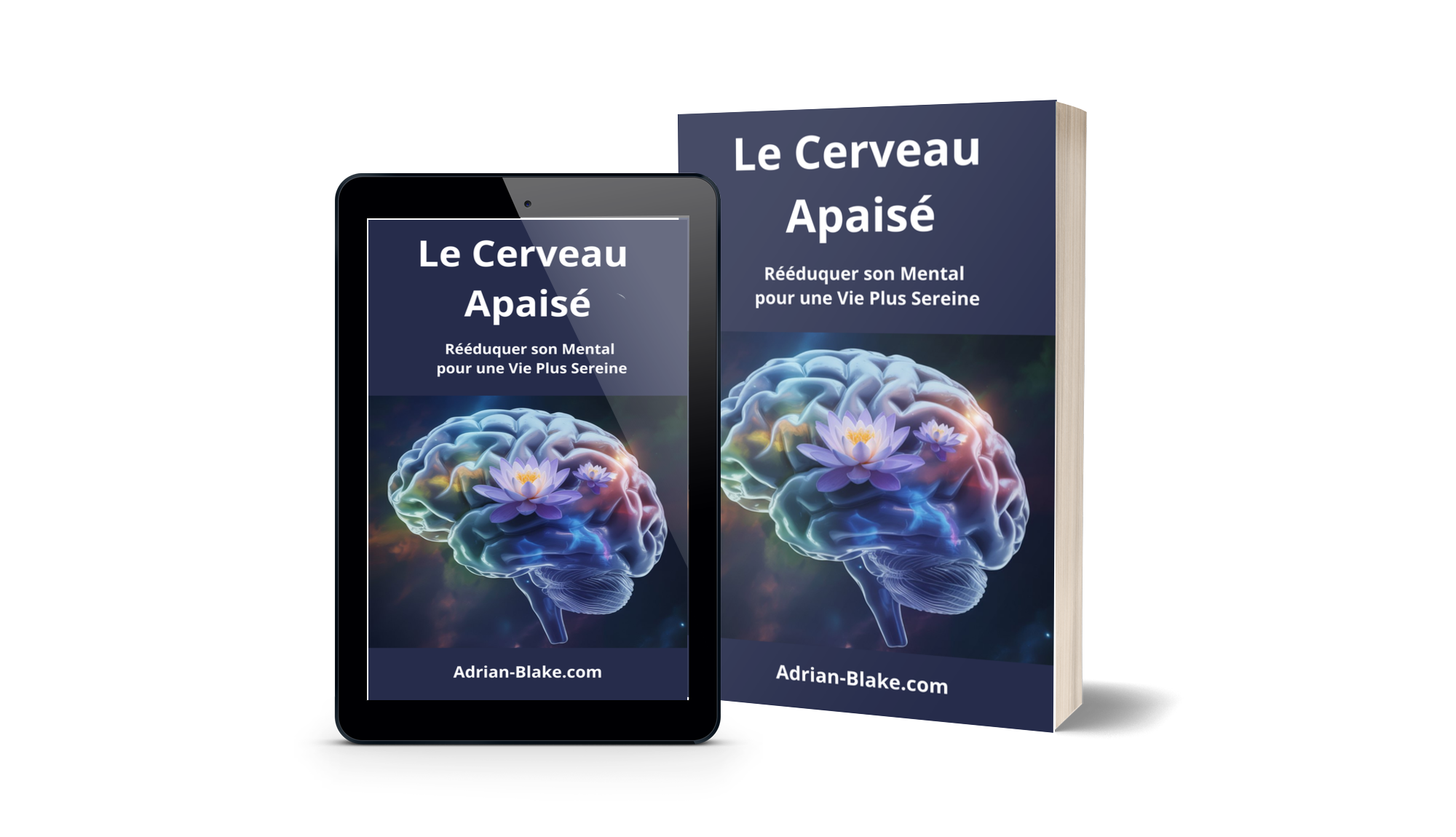 Le Cerveau Apaisé