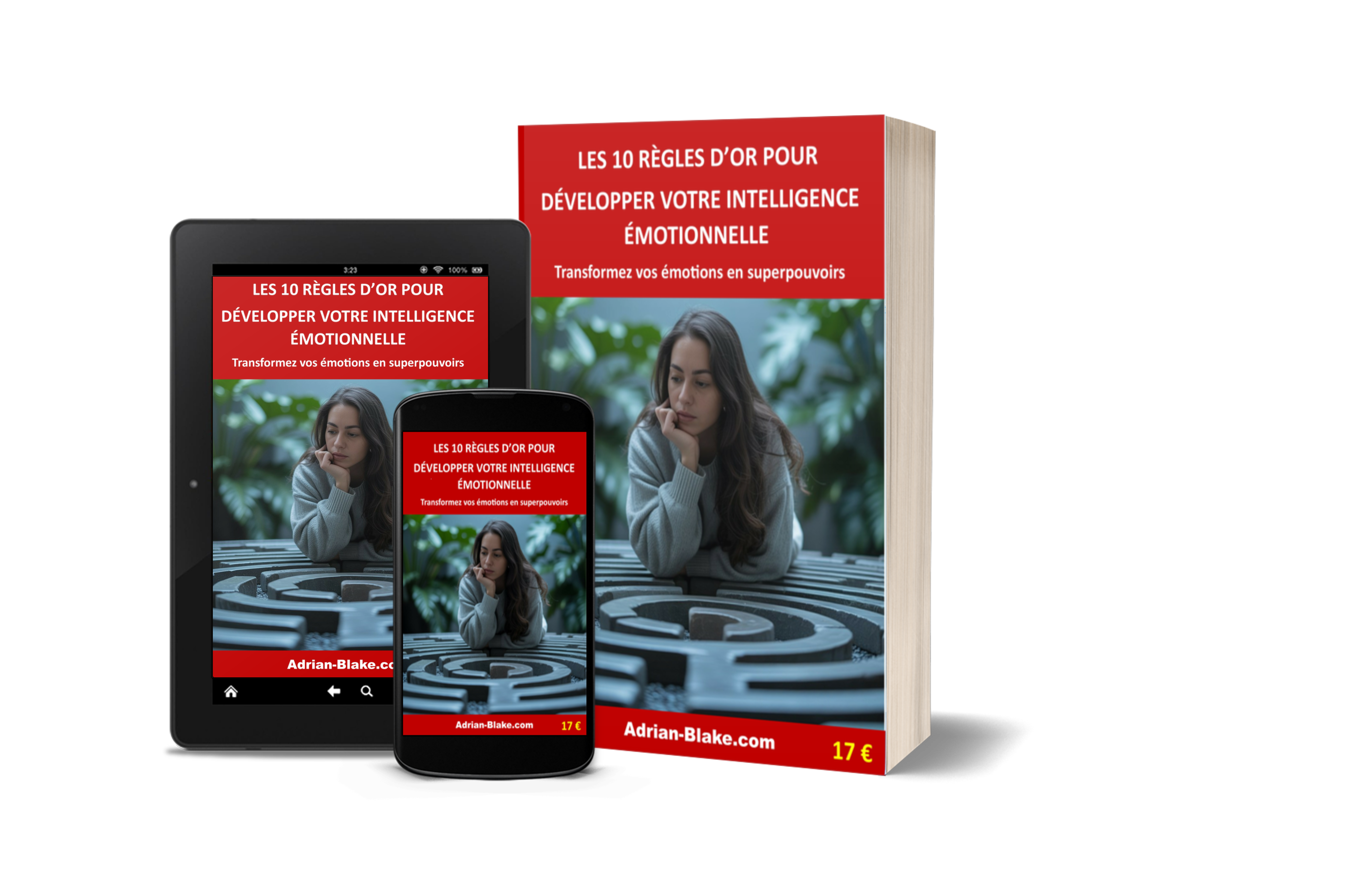 LES 10 REGLES D'OR POUR DEVELOPPER VOTRE INTELLIGENCE EMOTIONNELLE