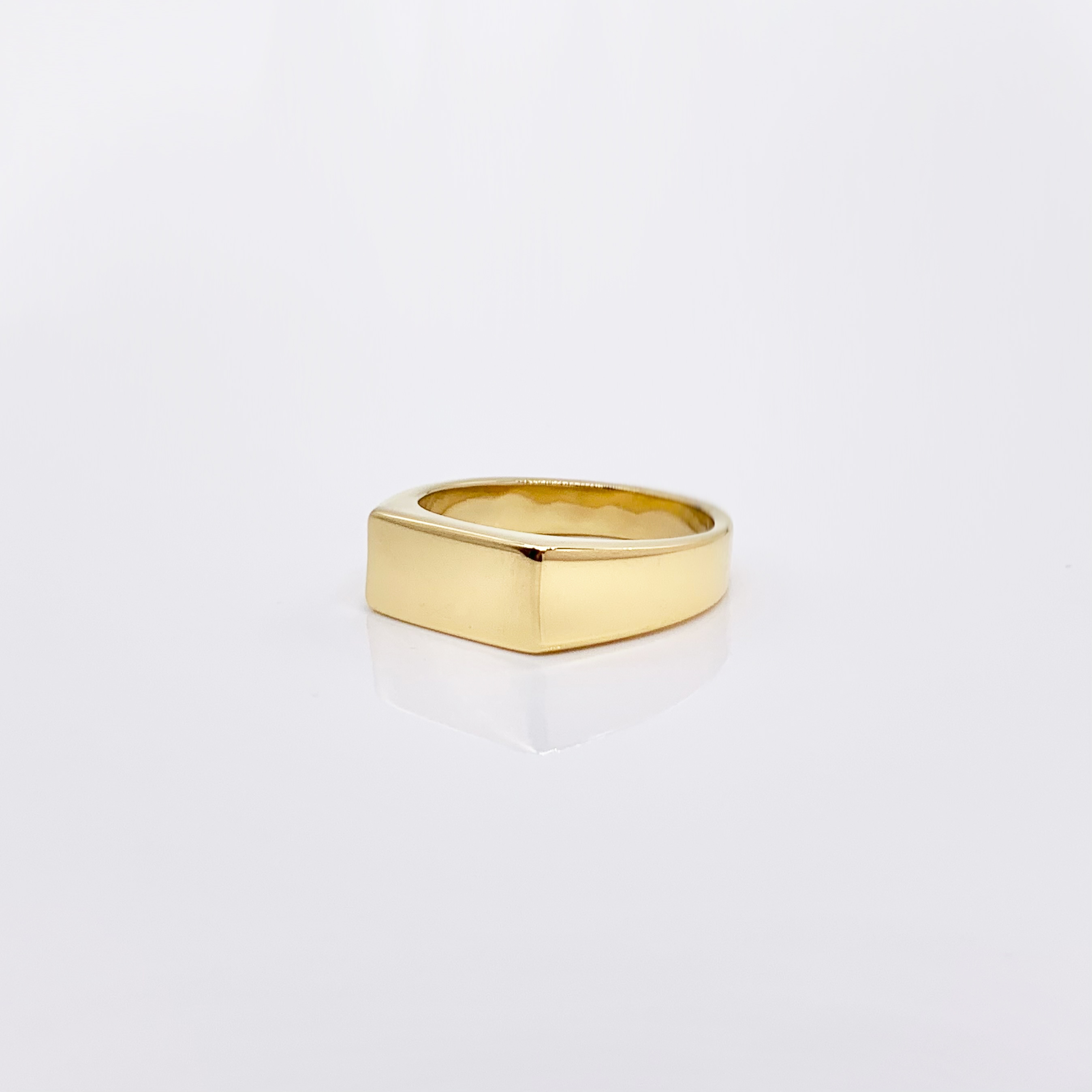 Rectangle Minimalist Stainless Steel Signet Gold/Silver Pinky Ring