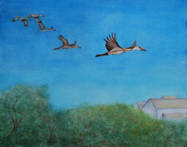 Flocking Together WC201018