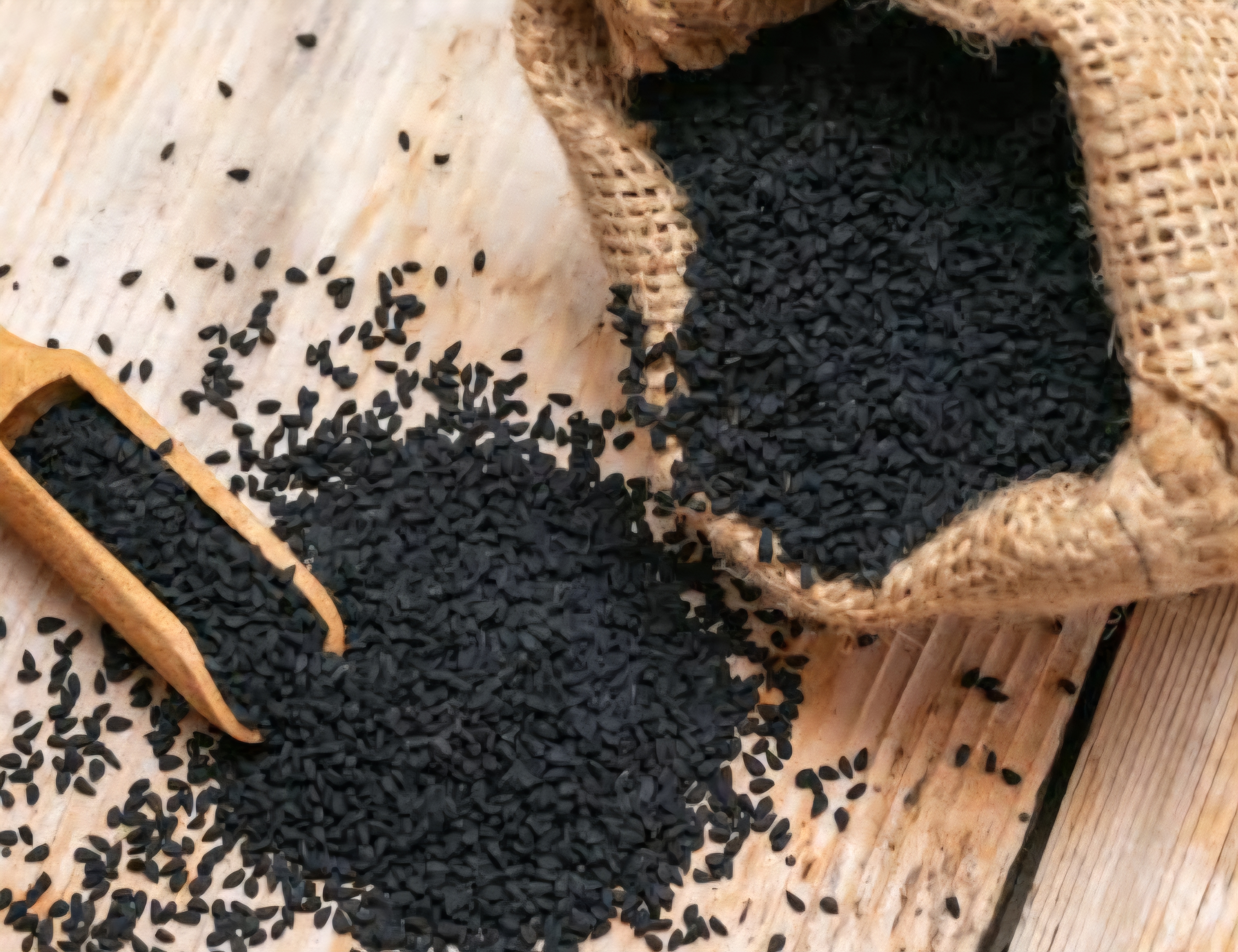 Graines de nigelle Habbachiya