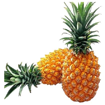 Pineapples- 1pc