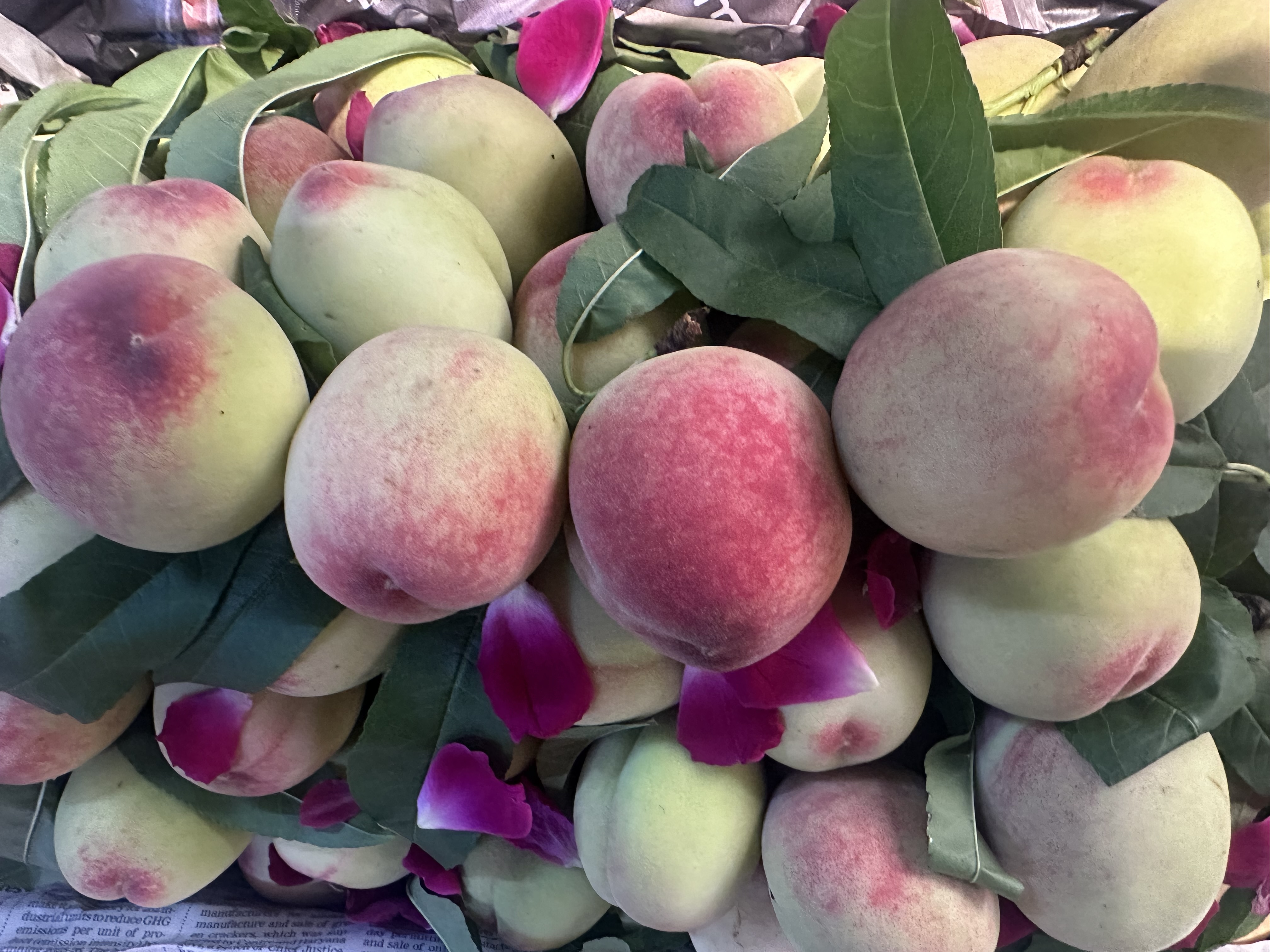 Fresh Himachal Peaches (sharbati Adhoo)