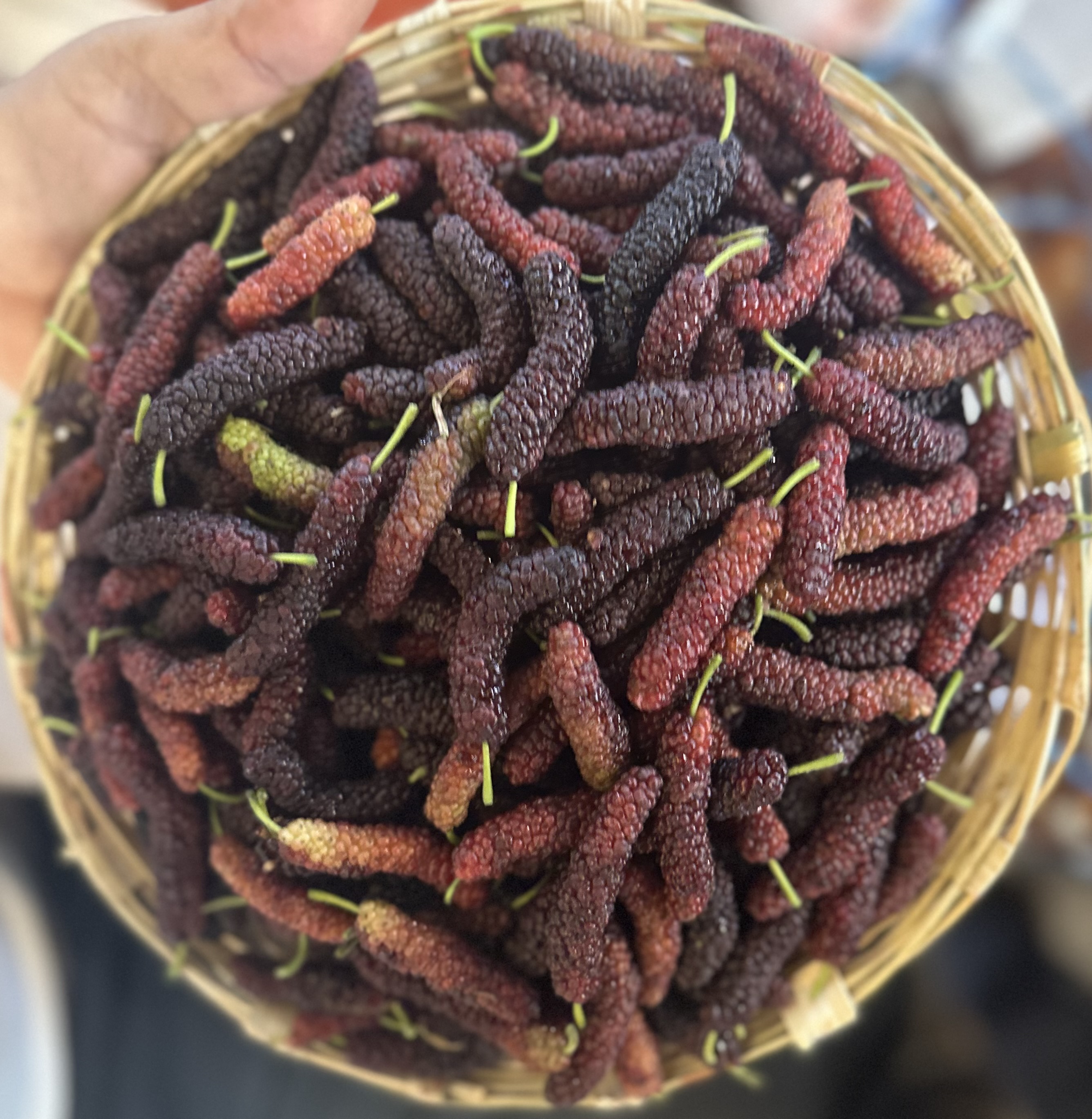 Mulberry (shahtoot)