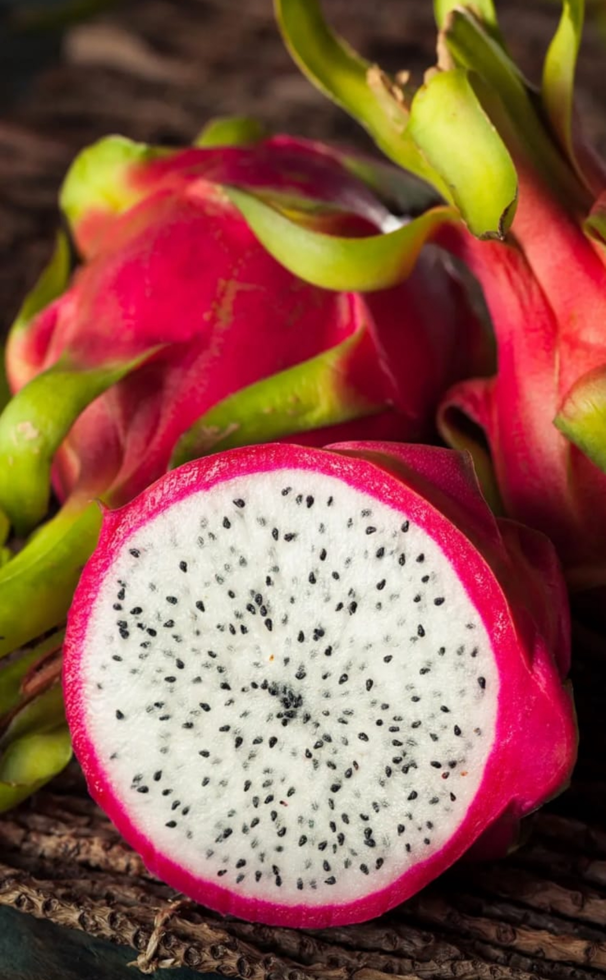 Dragon Fruit