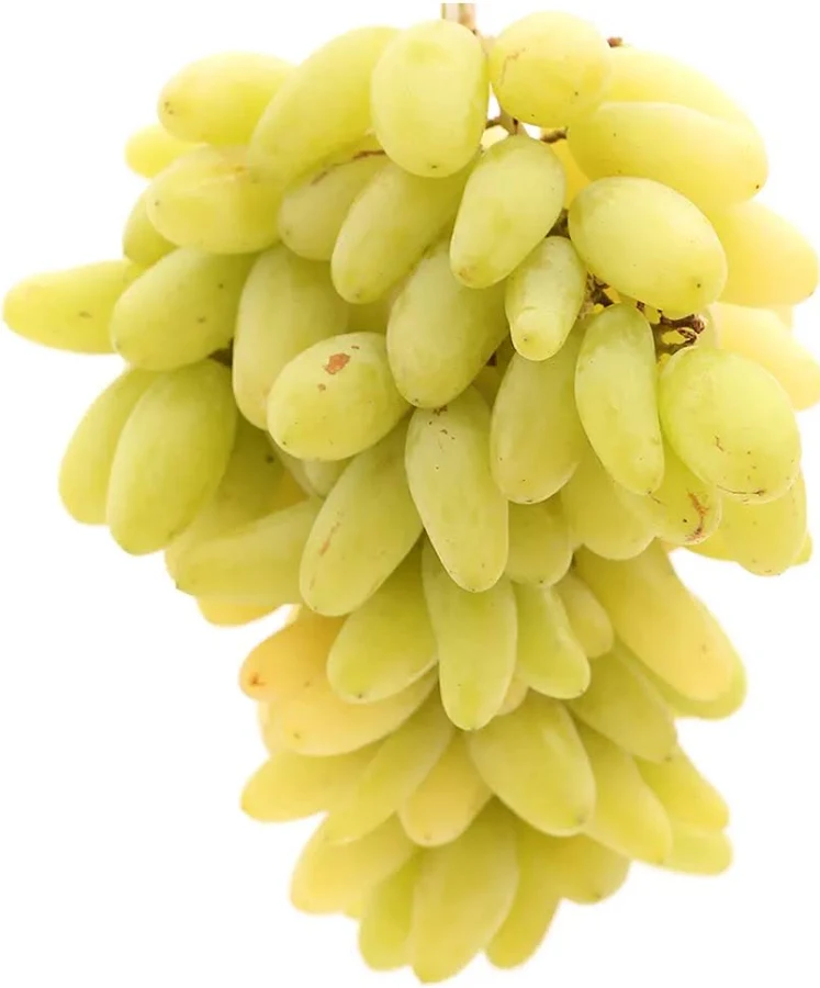 Fresh Green Grapes