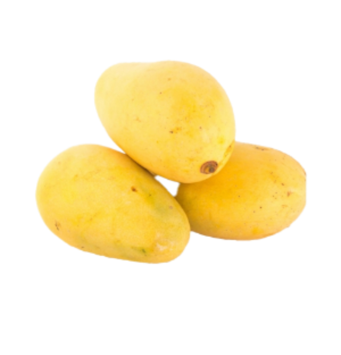  Mangoes Safeda