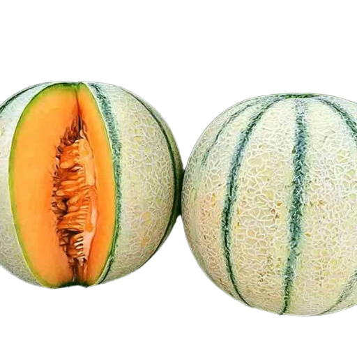 Fresh Muskmelon (Madhu Kharabooja)