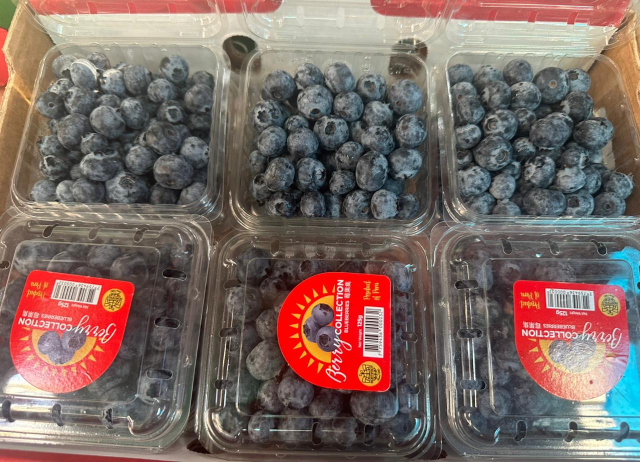 Fresh Blueberries
