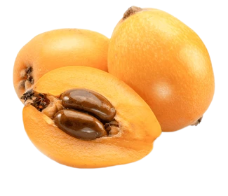 Fresh Loquat Fruit