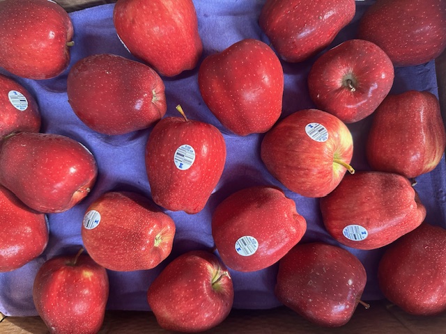 Washington Red Delicious Apple - USA