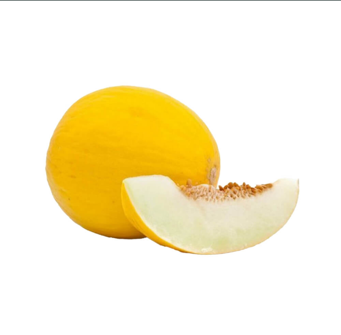 Sun Melon Sharda