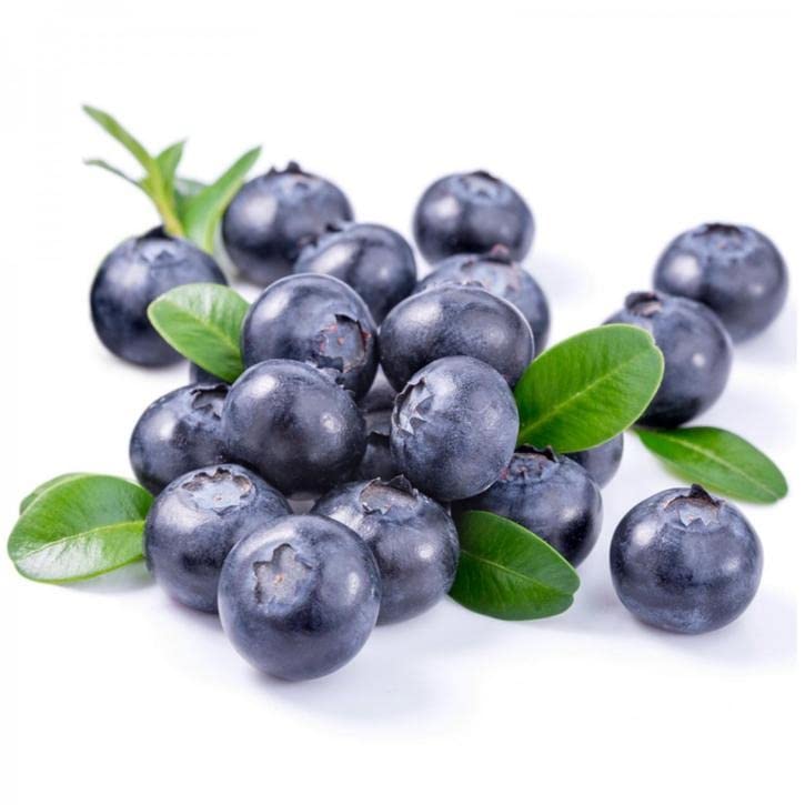 Fresh Blueberries