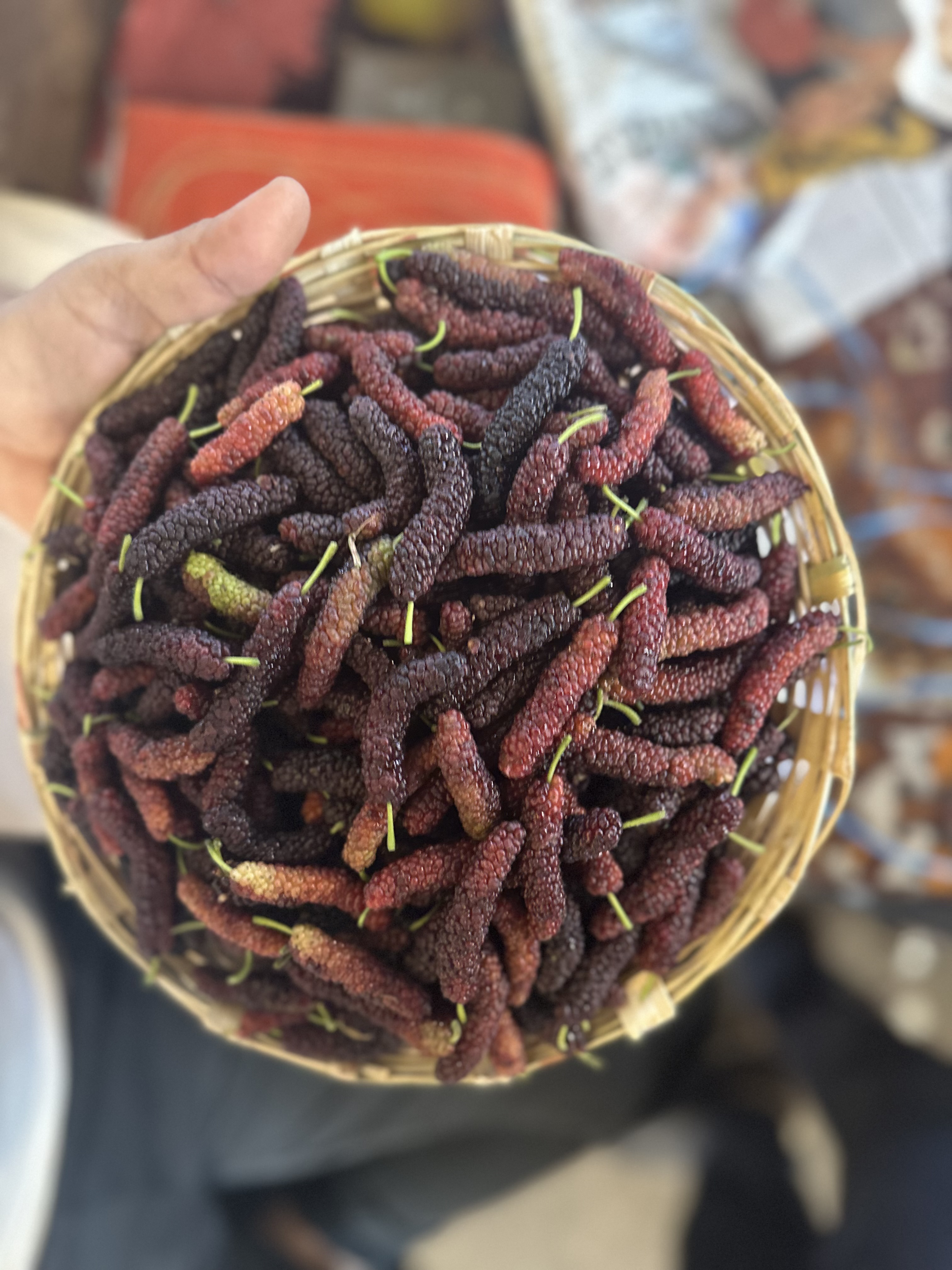 Mulberry (shahtoot)