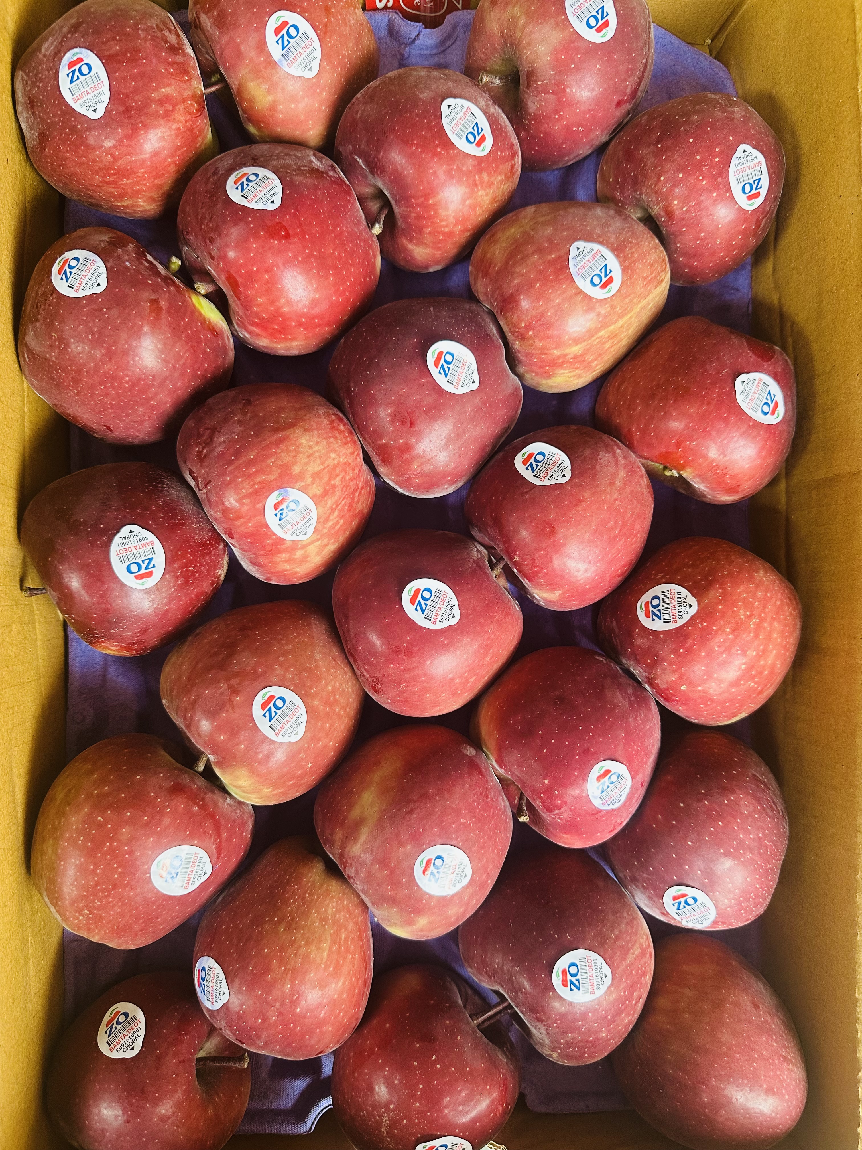 Fresh Red Apples indian