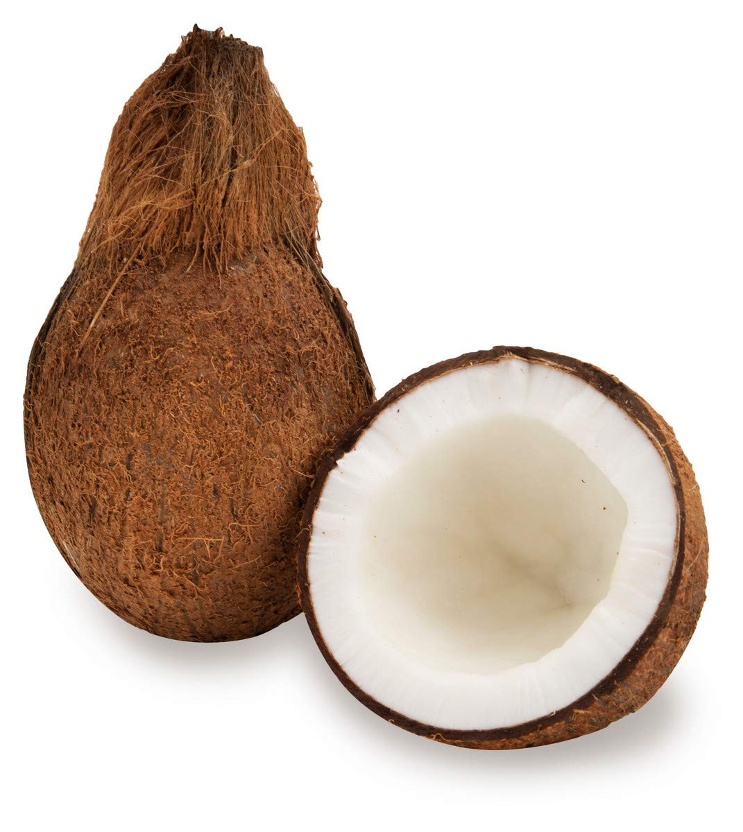Fresh Coconut large size 1 Pc