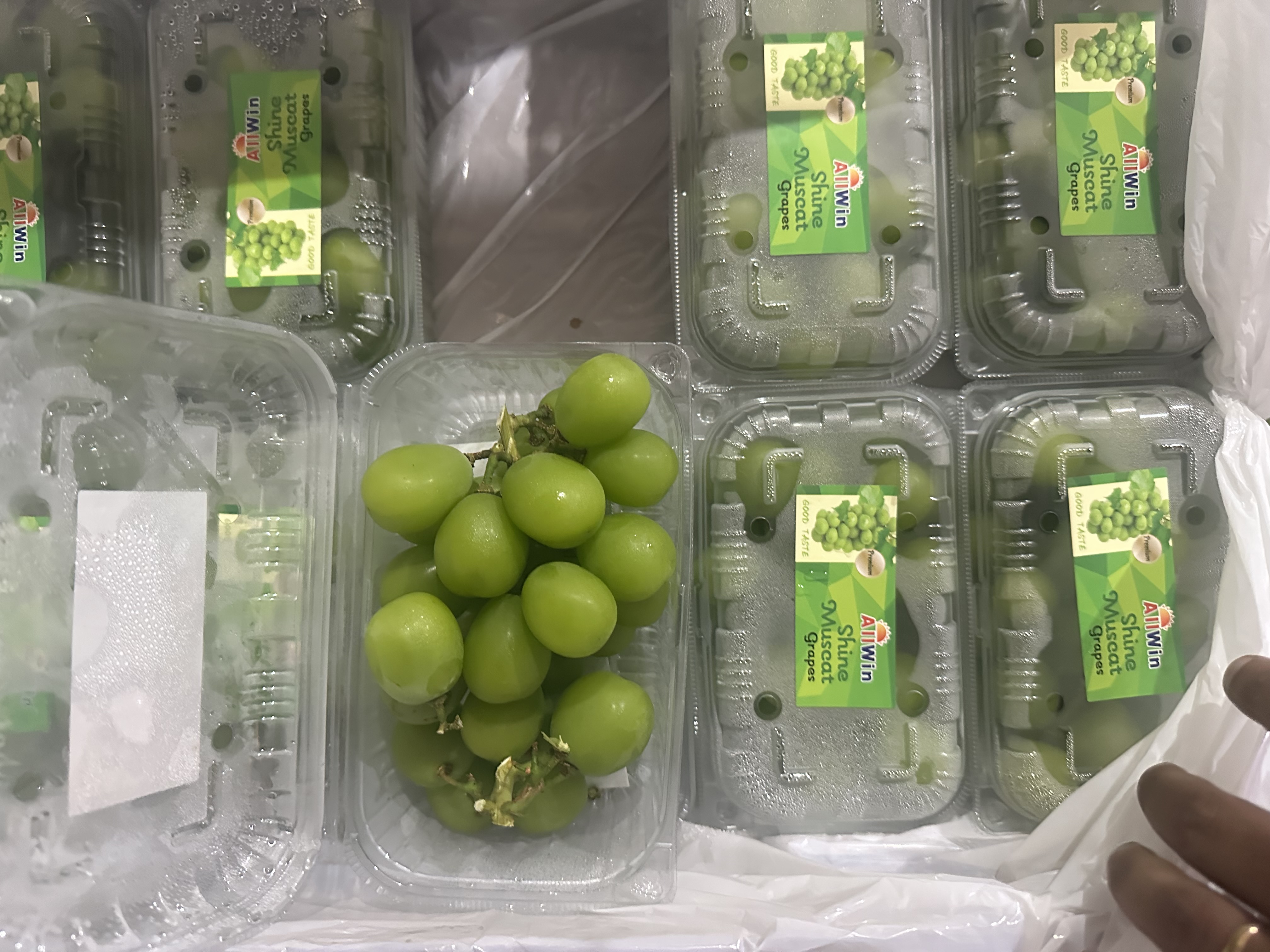 Premium Muscat Green Grapes 