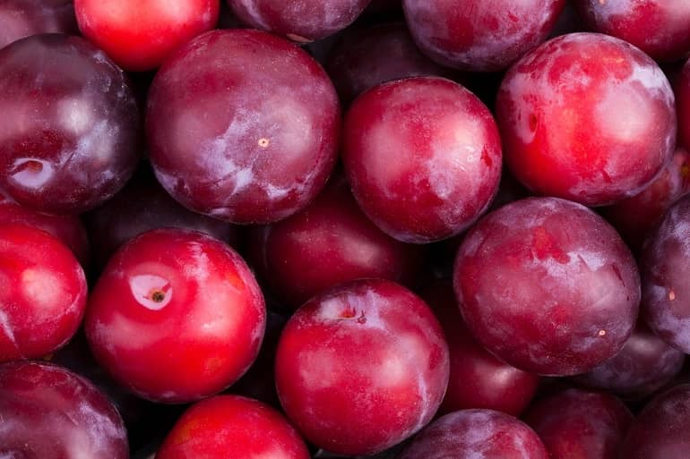 Fresh Indian Plum