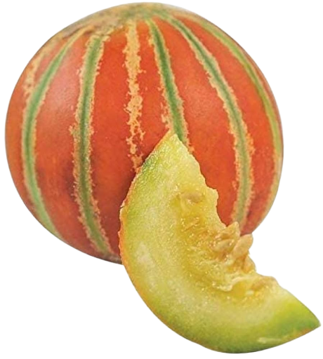 Premium Musk Melon (Kharabooja _Laal pari)