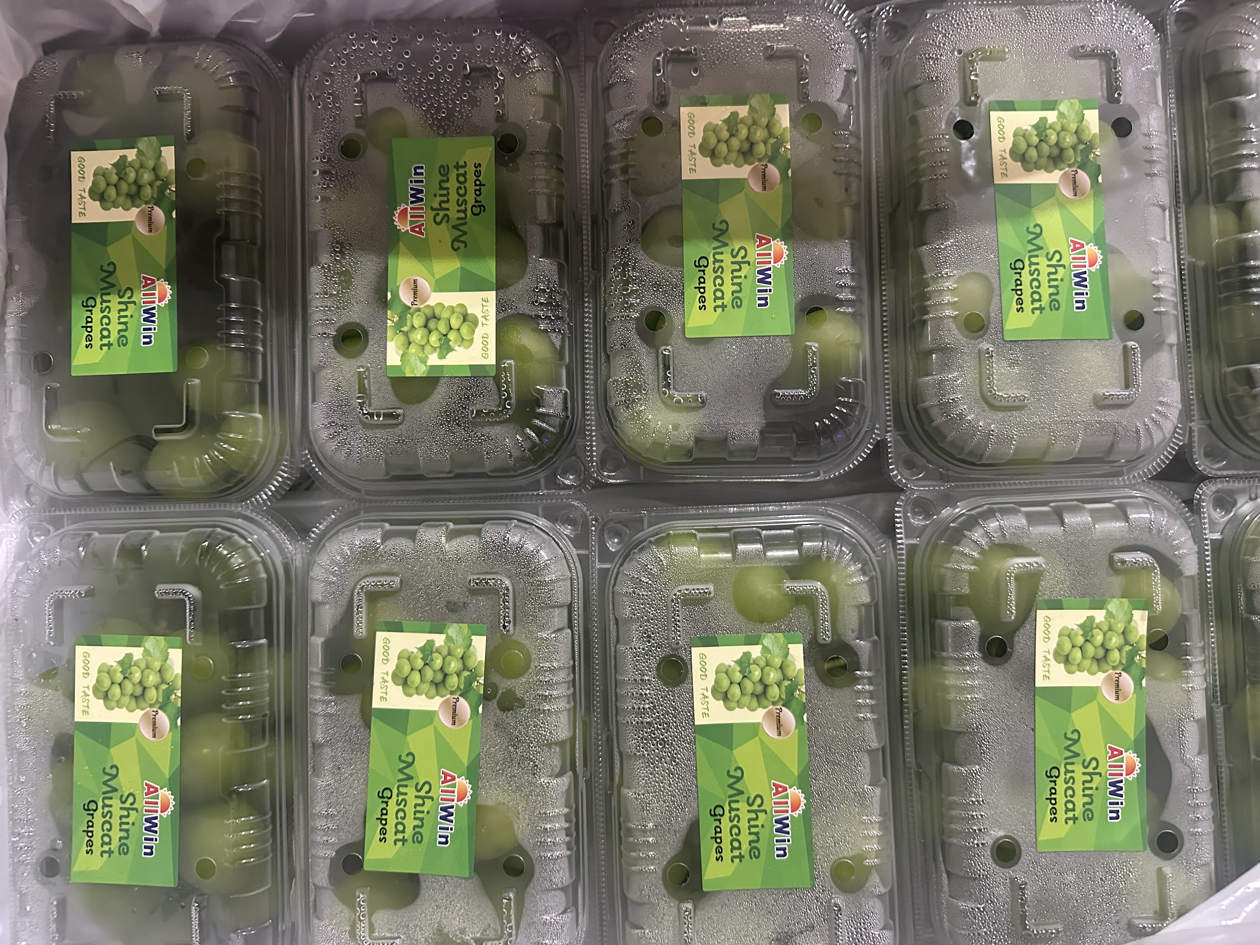 Premium Muscat Green Grapes 