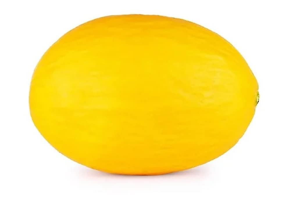 Sun Melon Sharda