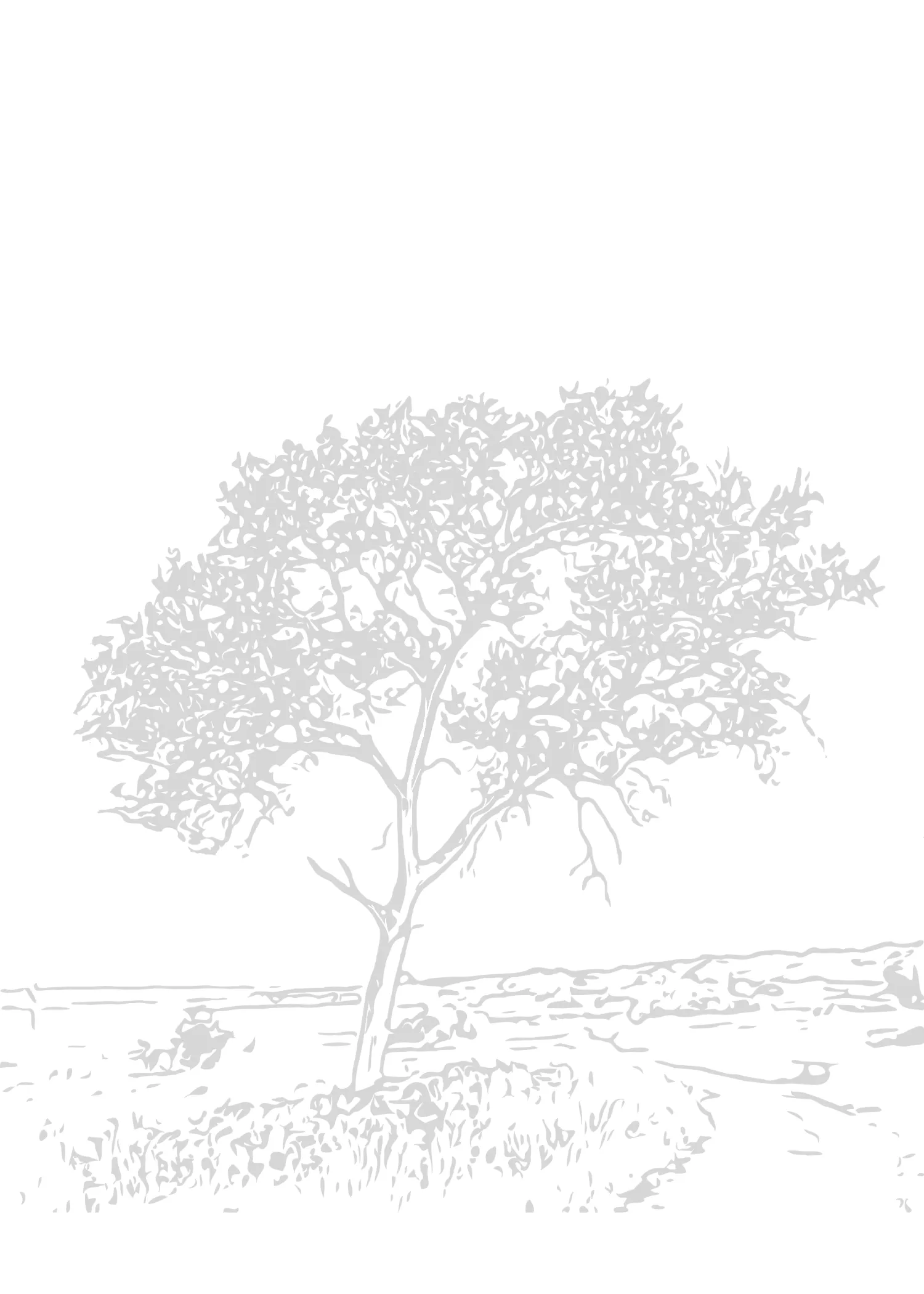 Ink Tree — Minimal Sympathy Card