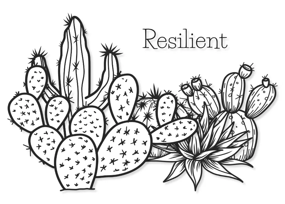 Desert Ink — Encouragement Collection