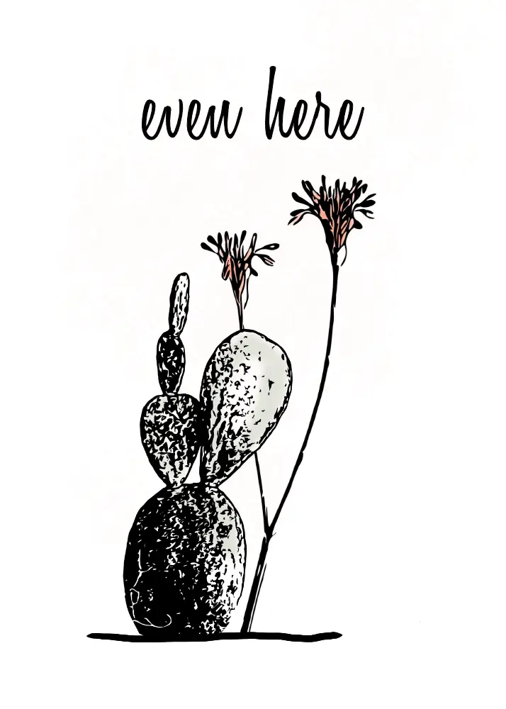 Prickly Pear Study — Botanical Encouragement Card