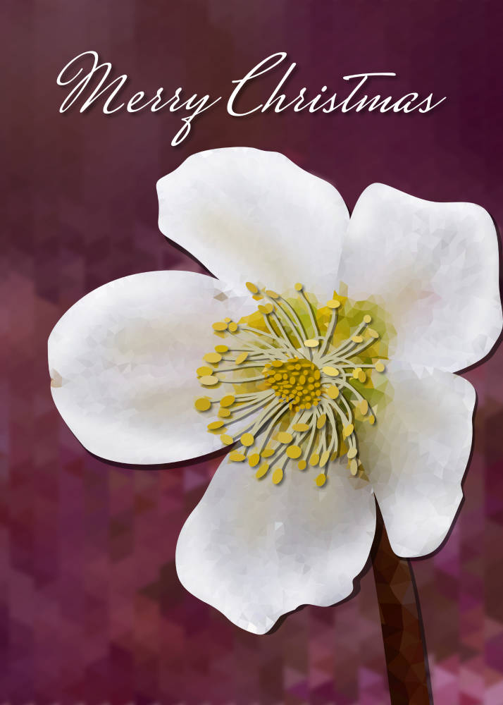 High-Poly Winter Rose Art Card: Crystalline Floral Christmas Greetings