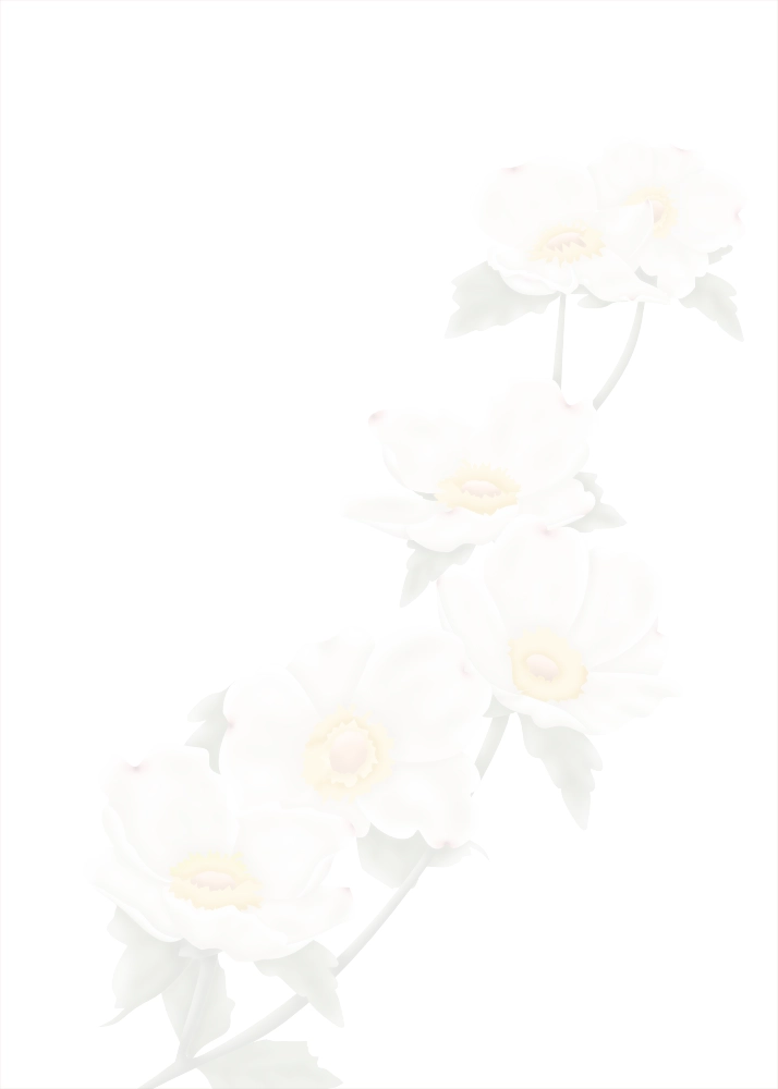 Quiet Dogwood — Botanical Sympathy Card