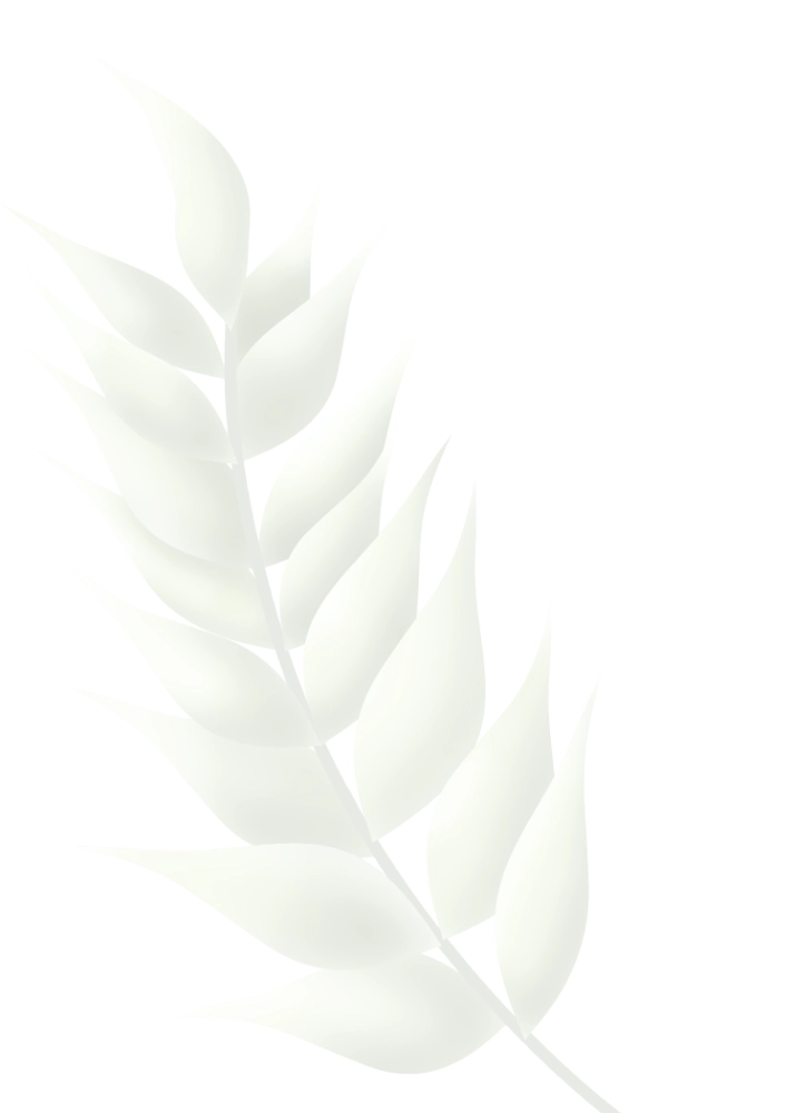 Quiet Fern — Botanical Sympathy Card