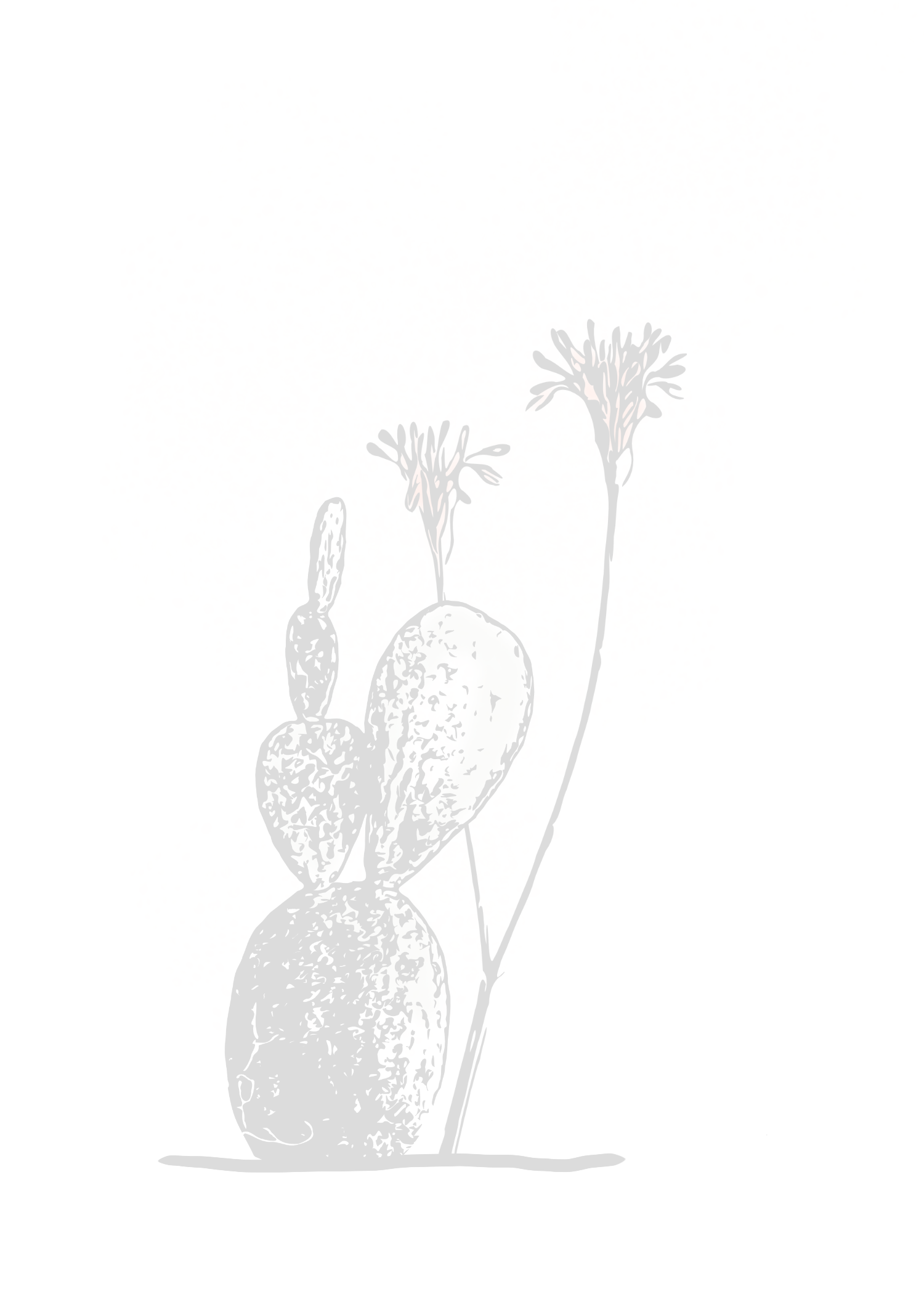 Prickly Pear Study — Botanical Encouragement Card