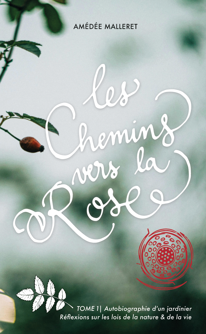 Les Chemins vers la Rose
