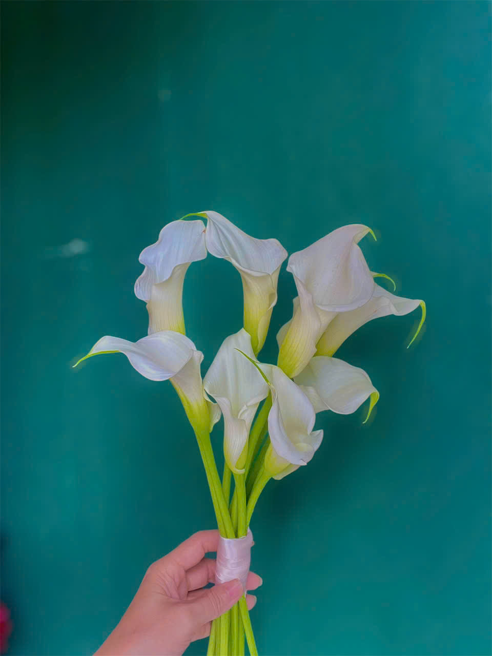 Bó hoa cưới Calalily trắng