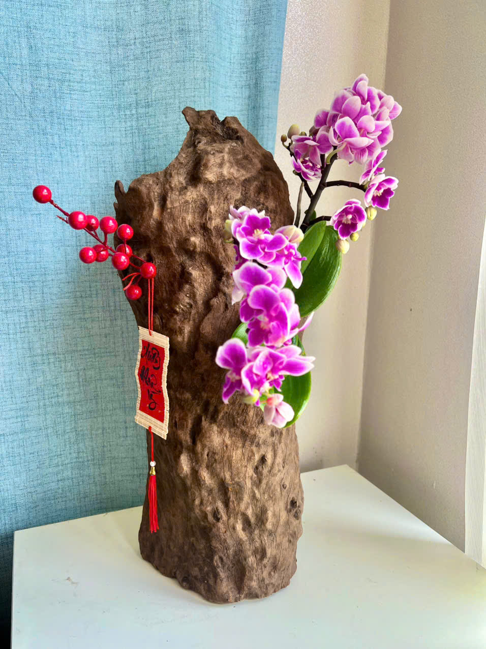 Bình hoa lan nghệ thuật trên gỗ lũa