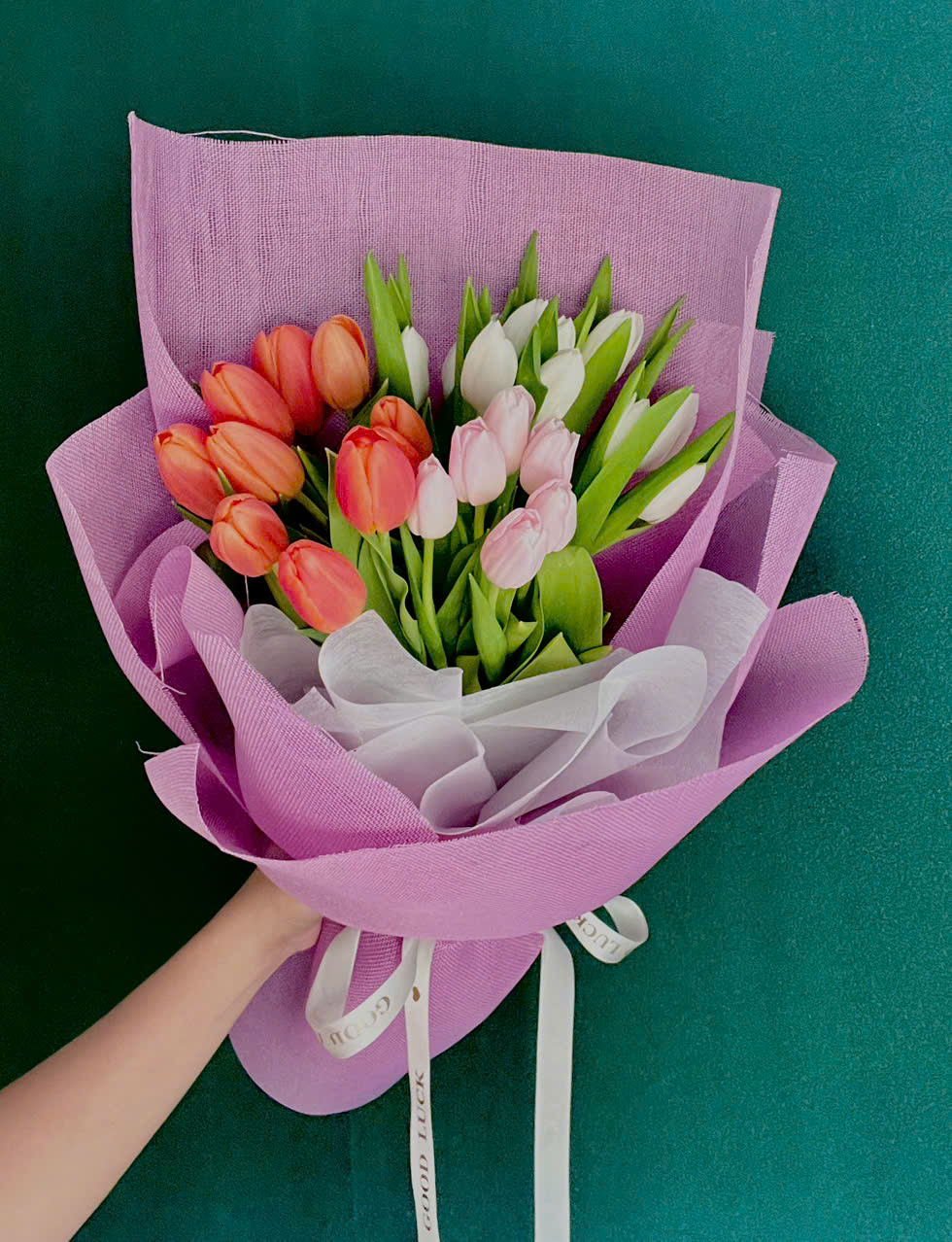 Bó hoa Tulip Hà Lan
