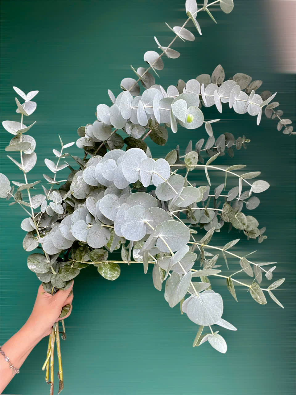 Lá bạc