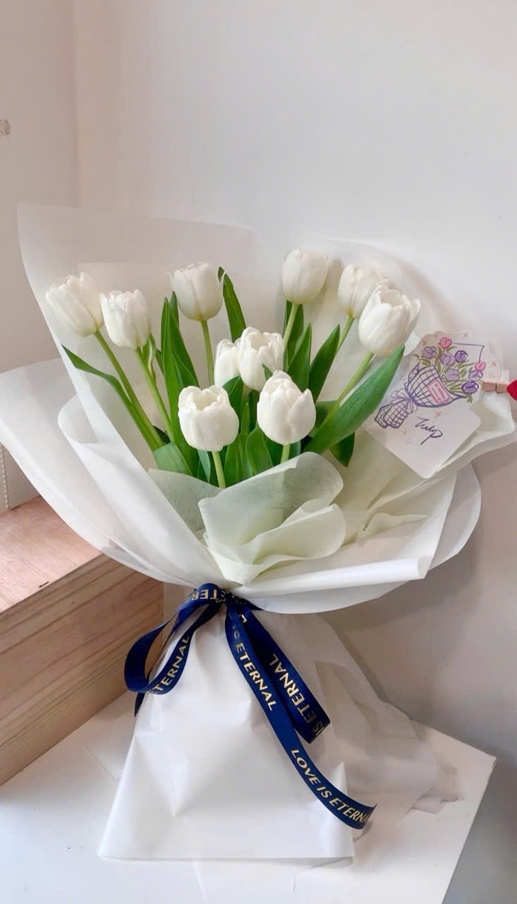 Bó hoa tulip trắng