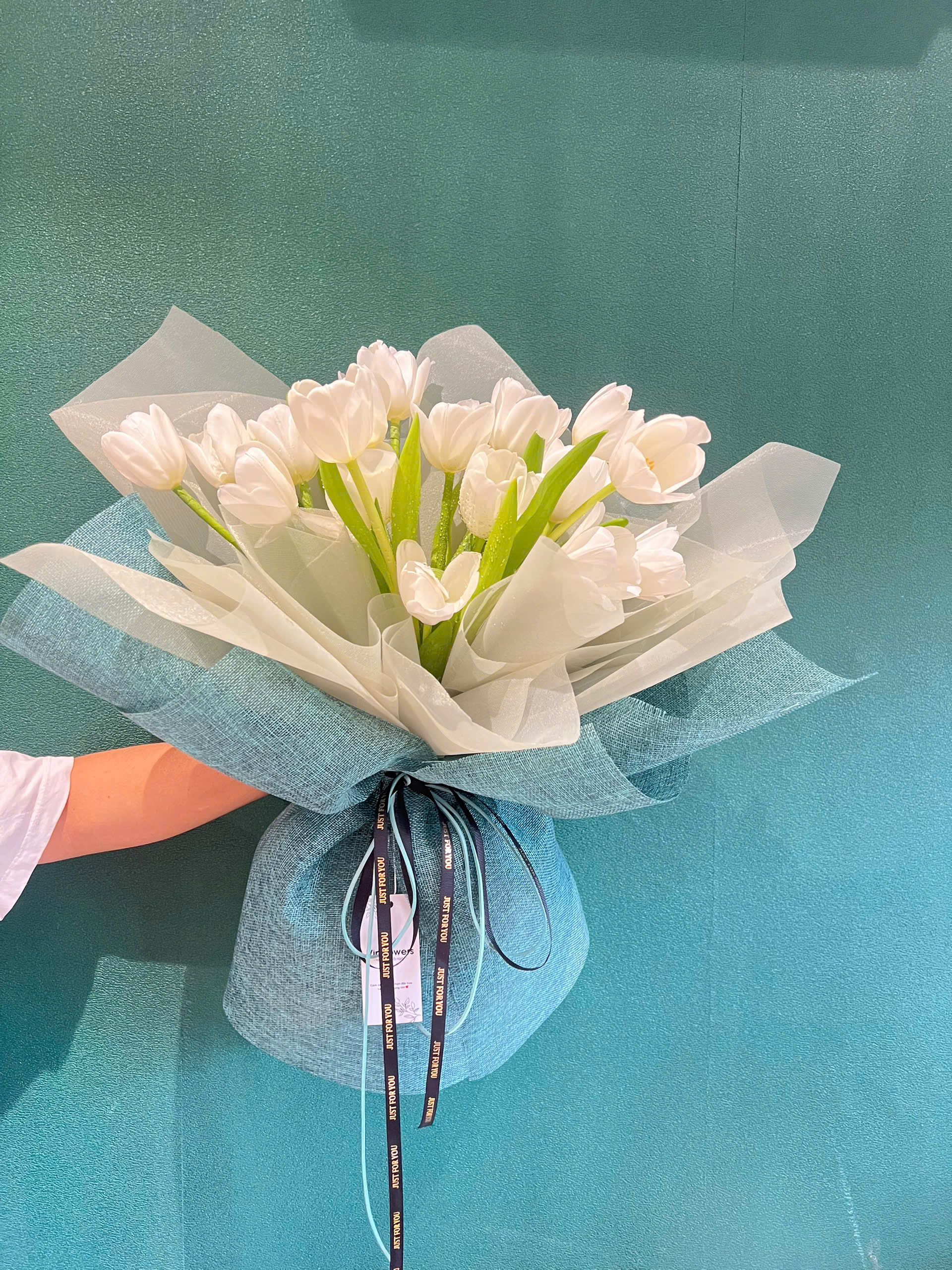Bó hoa tulip Hà Lan trắng