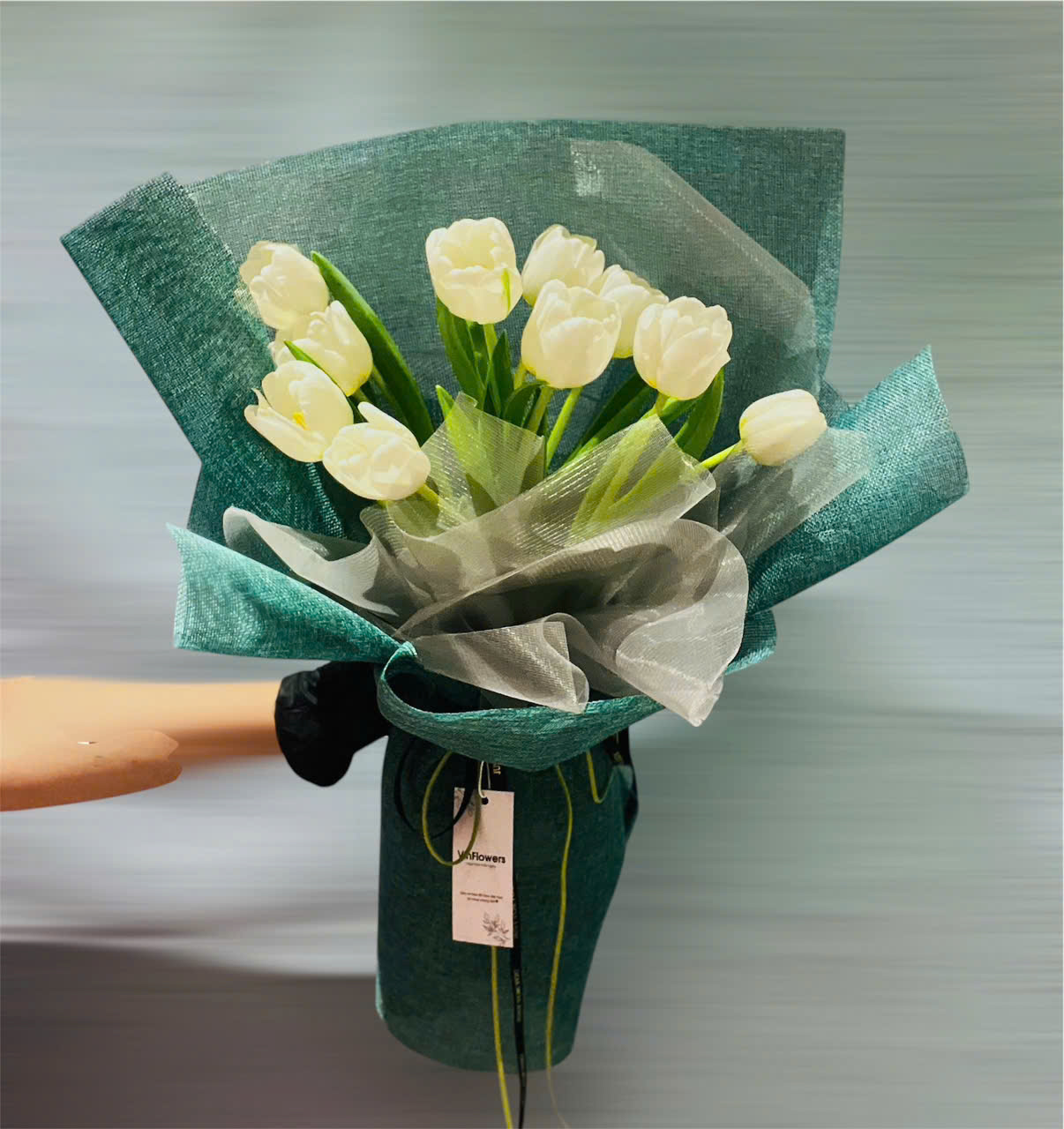 Bó hoa tulip Hà Lan 