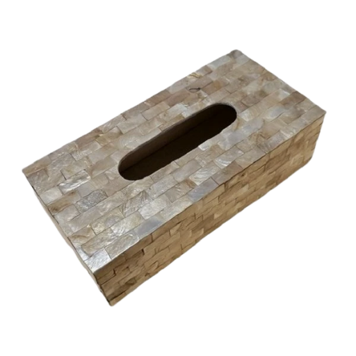 Schelpen Tissue box - goud