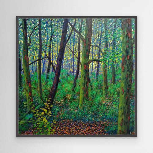 Where the Light Finds You