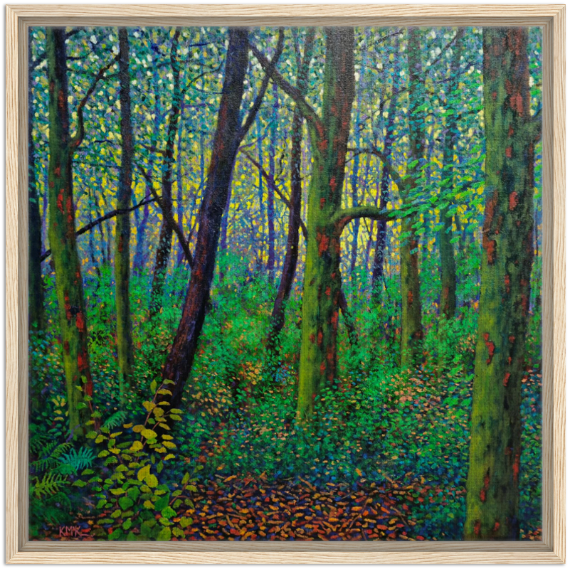 Where the Light Finds You