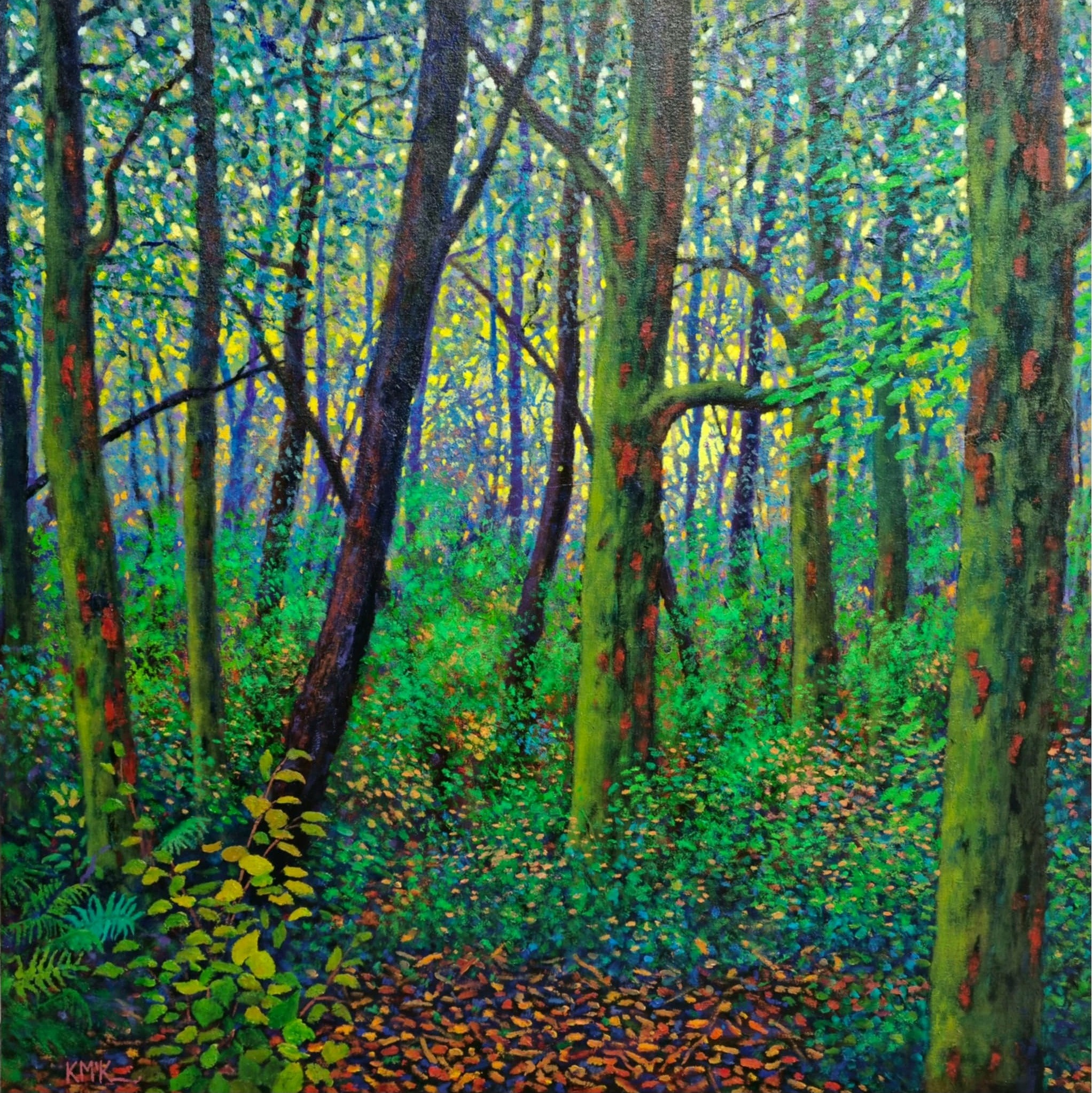 Where the Light Finds You